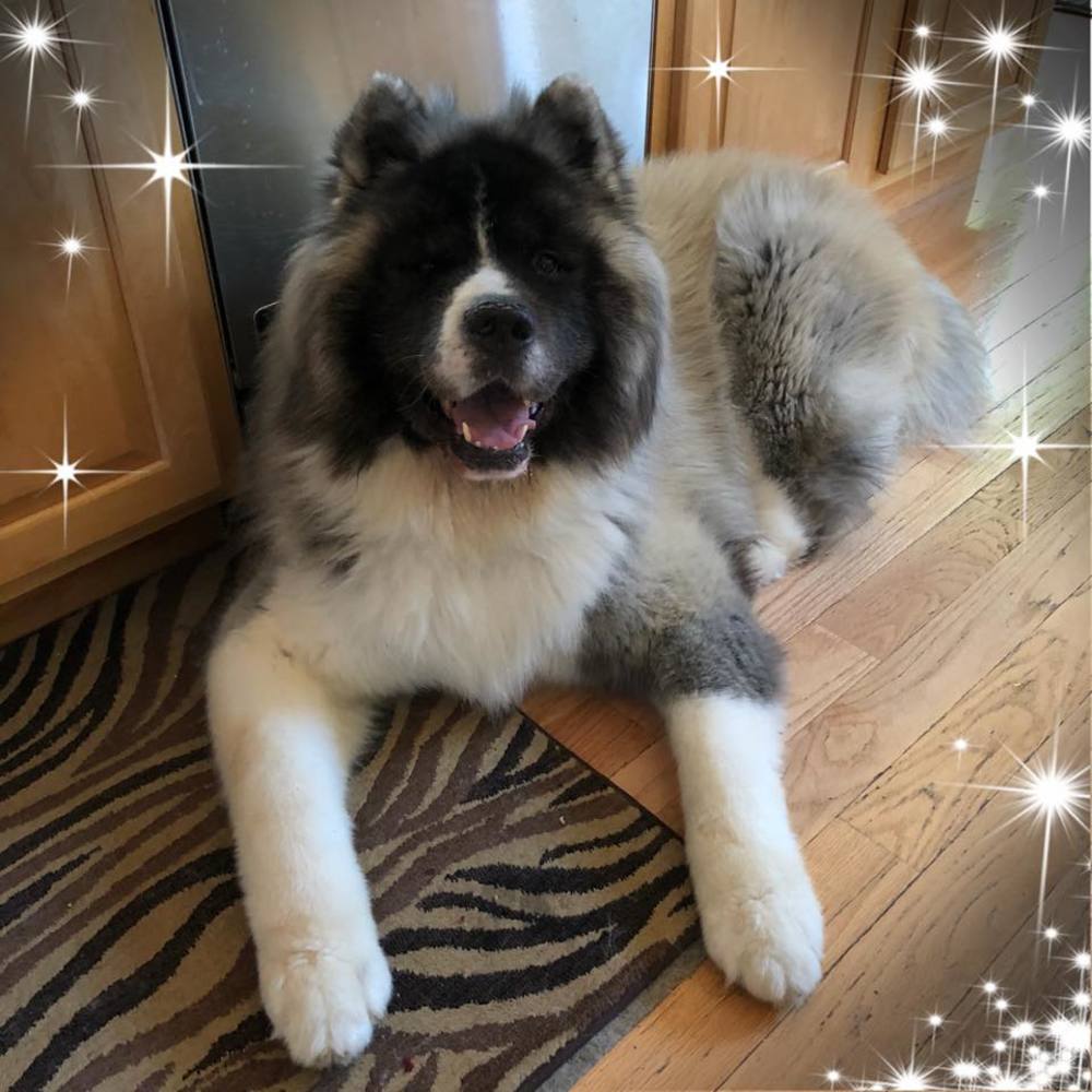 Meet your Posher, Ann Marie